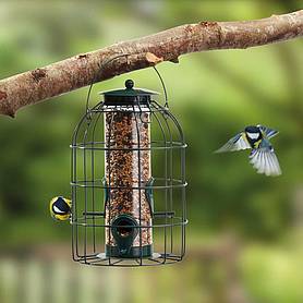 Nature’s Market Seed Feeder with Squirrel Guard